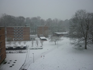 Studentenwijk Arenberg -- view from my window in December